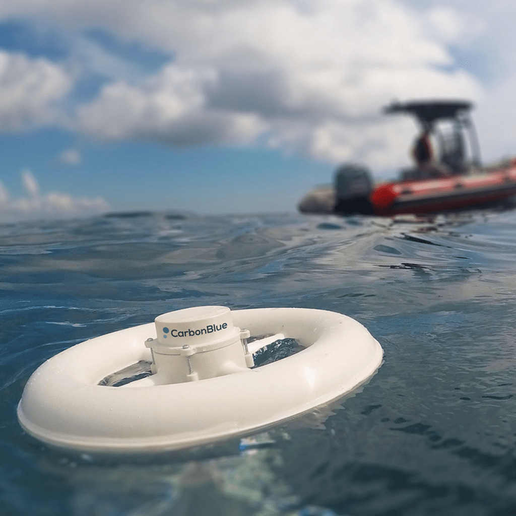 CarbonBlue: Pioneering Water-Based Carbon Dioxide Removal Through Industrial Integration