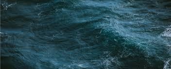 KOA Biotech: Revolutionizing Aquaculture Health Through Real-Time Pathogen&nbsp;Detection